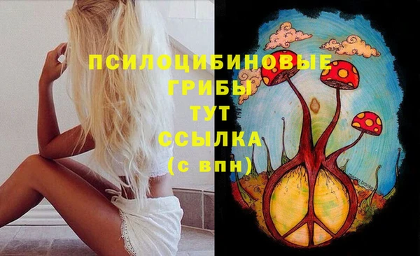 PSILOCYBIN Алзамай