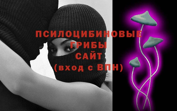 PSILOCYBIN Алзамай